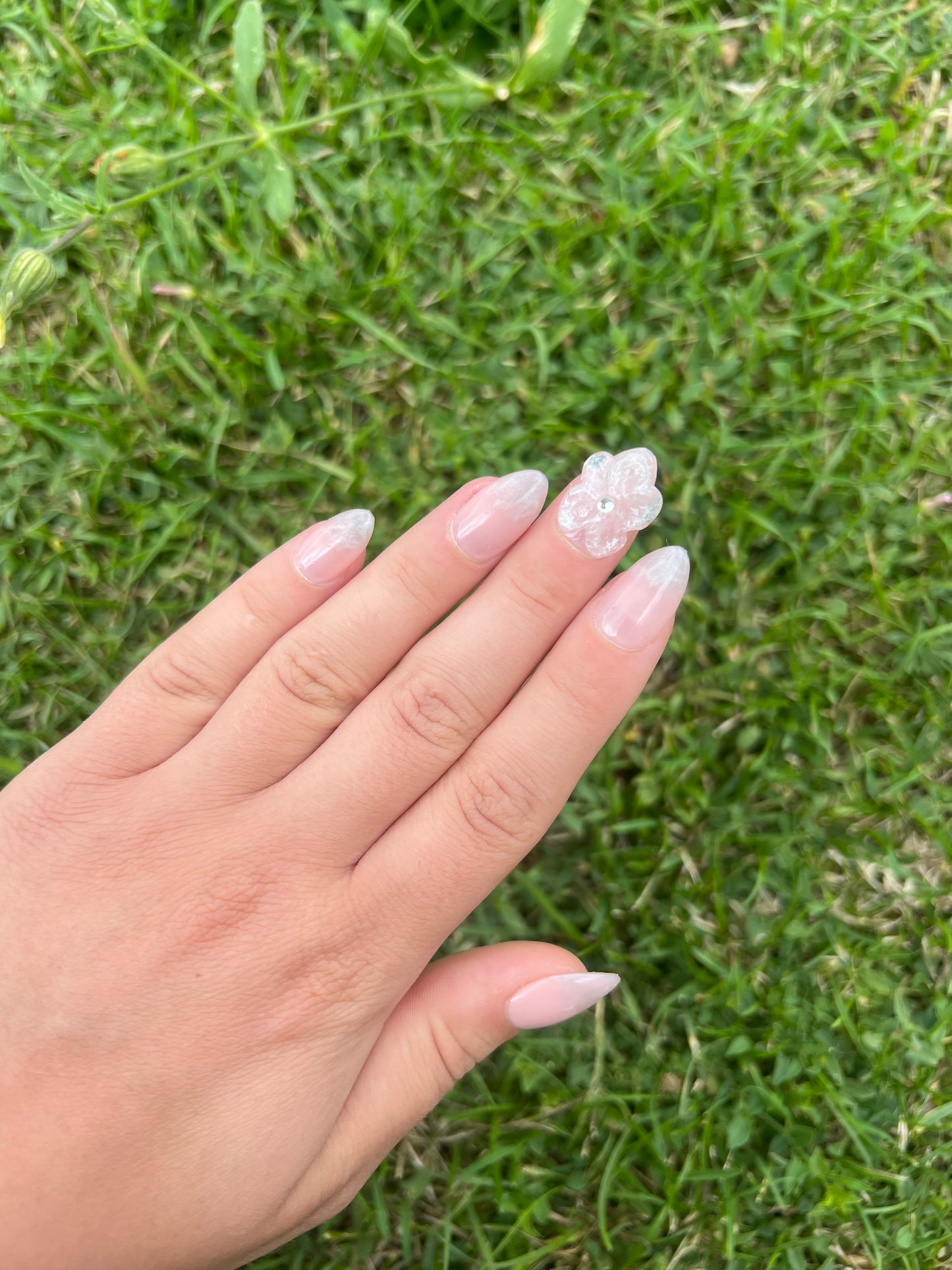 Pearly